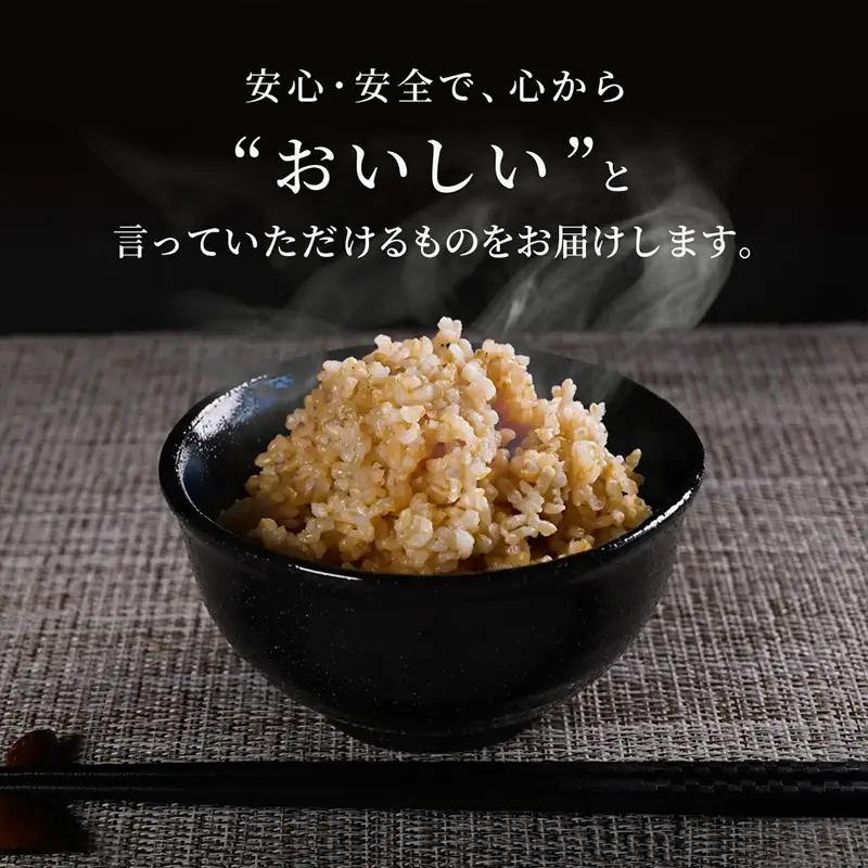 やまがた玄米パックごはん 150g×9個  (つや姫) ラベルレス 訳あり 山形 パックライス 備蓄 保存 FZ25-170