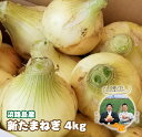 【ふるさと納税】淡路島産　新たまねぎ　4kg【発送時期：2025年3月～5月頃】