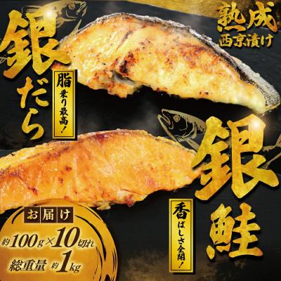 ふるさと納税 藤沢市 銀鱈 銀鮭 西京漬けセット 2パック 約1kg(1パック 約100g×5切 約500g)