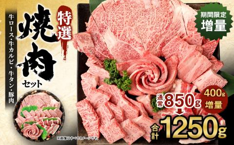 【期間限定増量】特選焼肉セット 計1250g 黒毛和牛 国産豚バラ 牛肉 ロース