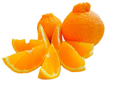 【2026年2月上旬以降順次発送】【定期便 2ヶ月】 西ヶ谷蜜柑農園 旬の柑橘 2種 【寿太郎みかん「恋蜜」・越冬 不知火（化粧箱入り）】 ミカン 柑橘 フルーツ 果実◆ルーツ 果実◆【離島・沖縄配送