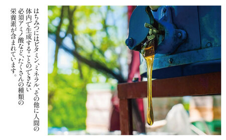 大西養蜂場 非加熱はちみつ そば  60g 4本 ／ はちみつ 蜂蜜 ハチミツ 国産 【大西養蜂場】