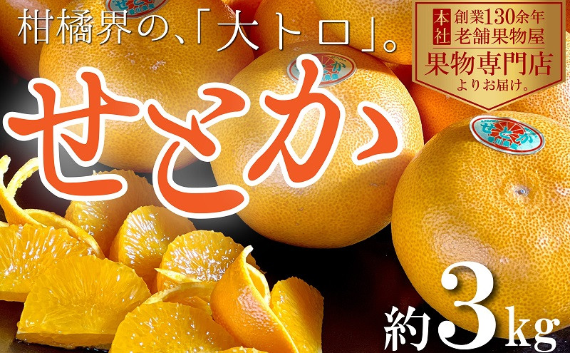 
                  【2027年2月中旬より順次発送】柑橘界の大トロ！せとか　約3kg 果物 フルーツ 国産 日本産 冬の味覚 冬の果物 冬のフルーツ  観音寺市産 
                