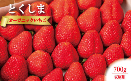オーガニック いちご 700g 家庭用 《1月末から5月発送》 有機JAS認証 ORGANIC 甘い 苺 果物 フルーツ 産地直送 新鮮 ストロベリー ジャム スムージー 期間限定 徳島
