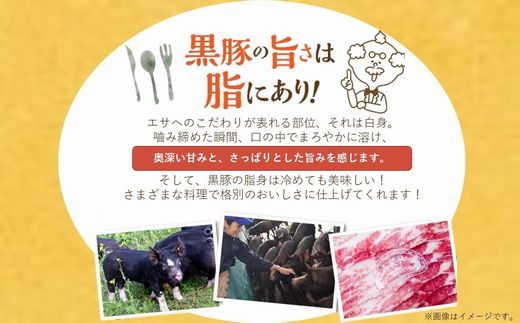 052-33-3 【お中元に】「かごしま黒豚さつま」スライス3種900gセット