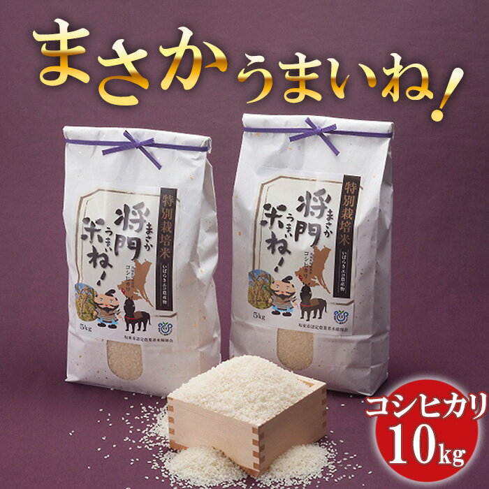 【ふるさと納税】No.125 将門米ね！（まさかうまいね！） コシヒカリ10kg ／ 令和7年 新米 米 お米 こめ コメ 精米 白米 ご飯 国産米 10kg 10キロ コシヒカリ こしひかり 減農薬 減化学肥料 こだわり おいしい お取り寄せ 産地直送 産直 坂東市産 茨城県産 茨城産 茨城県