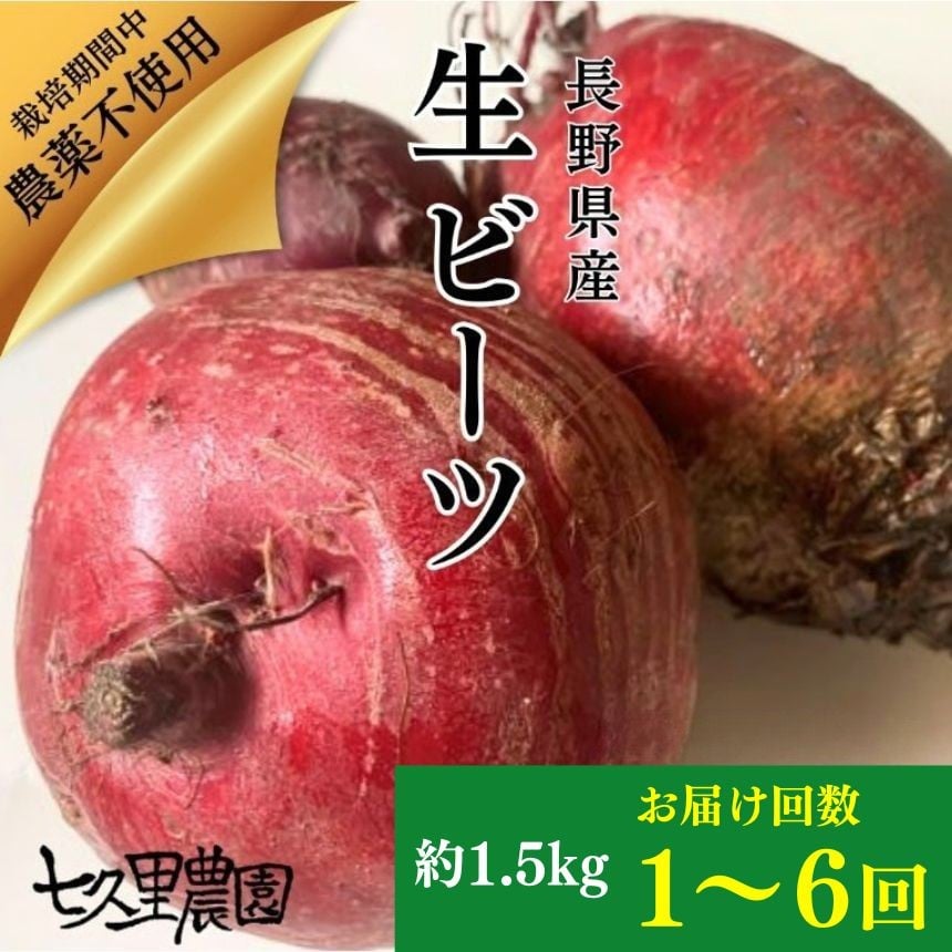 
                  レッドパワービーツ 約1.5kg【 お試し 1回 or 6回 定期便 】| 野菜 ビーツ レッドパワー レッドパワービーツ 定期 新鮮 長野県 信州 南信州 飯田市
                