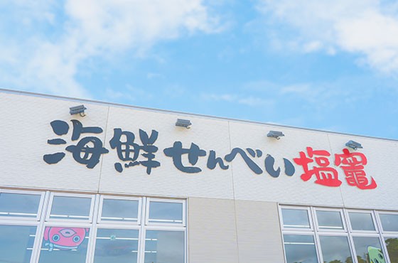 「無選別規格」海鮮せんべい大袋詰合わせ 三陸たこせんずんだ 鮭せんべい 塩竈市 塩釜 海鮮せんべい塩竈株式会社