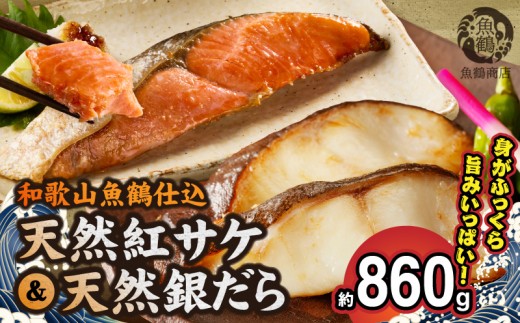 
                  脂と旨みたっぷり！魚鶴仕込の天然 紅サケ約500g＆銀だら4切約360g 脂と旨みたっぷり 魚鶴 仕込 天然 紅サケ & 銀だら セット 甘口仕立て 柔らかい 鮭 良質な脂 鱈 魚 焼き魚 魚介 お取り寄せ お取り寄せグルメ 和歌山県 湯浅町 送料無料 _G7378
                