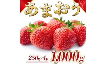 苺 福岡県産 あまおう 1000g（4パック） 先行予約 発送予定：2026年2月より順次発送 いちご イチゴ 果物 ※配送不可:離島