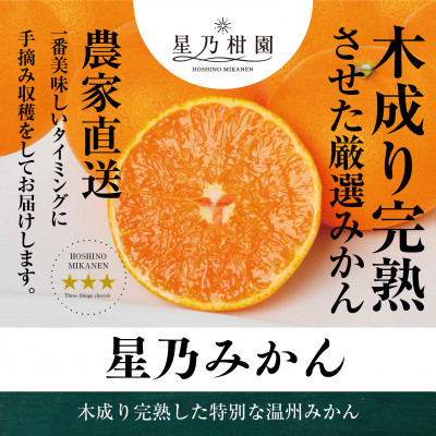
            ＜三つ星ブランド＞星乃みかん(4.5kg)＜C45-90＞【1582444】
          