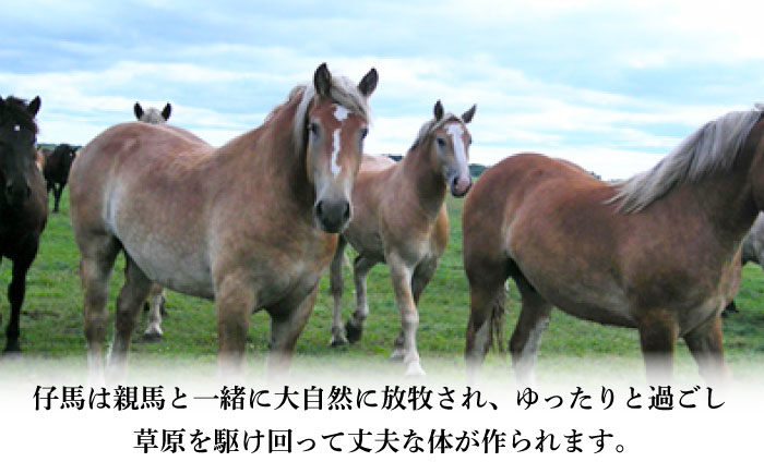 【全6回定期便】フジチク 国産馬刺し と ユッケのセット 計約310g【株式会社フジチク】 [BHAD088]