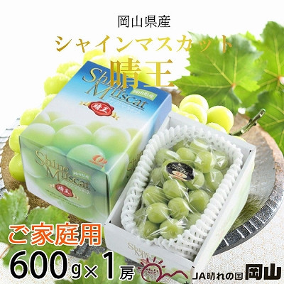 【2025年8月下旬より発送】ご家庭用 岡山県産 シャインマスカット 晴王 600g×1房 ぶどう 葡萄 ブドウ フルーツ 果物