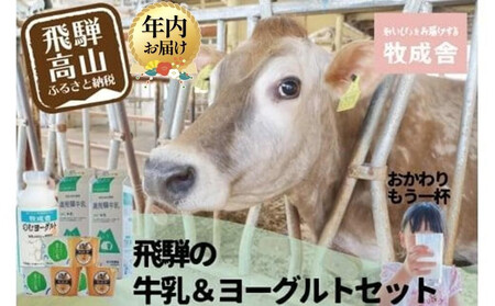 【12月配送】＜牧成舎＞飛騨の牛乳屋のこだわり 牛乳＆ヨーグルト 4種セット | 年内発送 飲むヨーグルト 生乳 乳製品 自社牧場 低温殺菌 生クリーム 飛騨 詰め合わせ まとめ買い セット  飲料 お取り寄せ 飛騨高山 牧成舎 DF016VC12