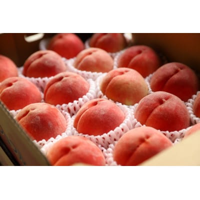 山梨県山梨市産　高糖度　旬の採れたて桃【5～8玉】約2kg【配送不可地域：離島】