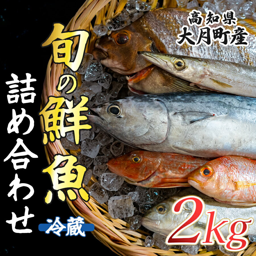 【ふるさと納税】高知県産 鮮魚 詰め合わせ便 2kg 谷鮮魚食堂 内臓未処理 産地直送 生魚 海鮮 セット 刺身 刺し身 煮付け カツオのたたき 詰合せ 食べ比べ グルメ 魚 お取り寄せ ギフト 贈答用 鮮魚セット 高知県 海鮮セット 大月町