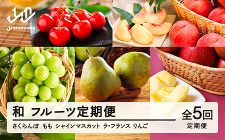 【先行予約】和 フルーツ 定期便 山形 2025年産 令和7年産 さくらんぼ 佐藤錦 桃 もも シャインマスカット ラ・フランス りんご サンふじ 全5回 フルーツ定期便 mm-ft5xx