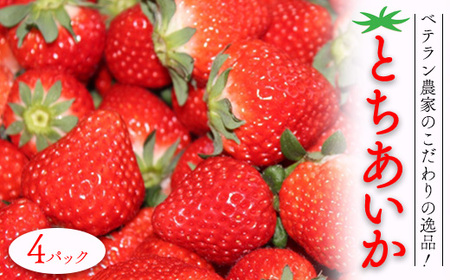 ベテラン農家のこだわりの逸品！とちあいか 4パック｜いちご イチゴ 苺 フルーツ 果物 産地直送 期間限定 季節限定 栃木県 芳賀町 ※2025年12月中旬～2026年3月下旬頃に順次発送予定