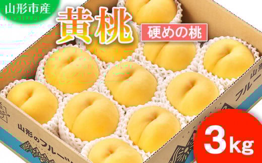 山形市産 もも(黄桃)３kg(8～11玉)[硬めの桃] 【令和7年産先行予約】FU21-821 くだもの 果物 フルーツ 山形 山形県 山形市 2025年産