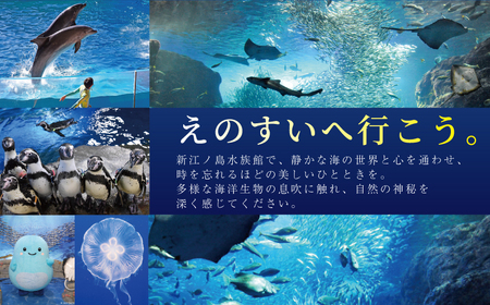 新江ノ島水族館 前売入場券 大人・幼児各1枚 / 水族館 チケット 観光