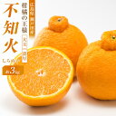 【ふるさと納税】柑橘の王様　大玉・濃厚な不知火（しらぬい）3kg　＜2025年3月中旬より発送開始＞ | みかん 人気 瀬戸田 広島県尾道市