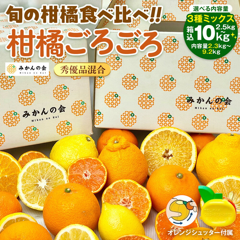 【ふるさと納税】旬の柑橘食べ比べ 柑橘ごろごろ 3種 箱込 2.5kg～10kg 秀品 優品 混合 和歌山県産 産地直送 【おまけ付き】【みかんの会】 | 産地直送 柑橘セット 食べ比べ 詰め合わせ 甘酸っぱい 旬の果物 人気 おすすめ フルーツ 果物 柑橘類 お取り寄せ ふるさと納税