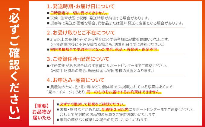 希少！こだわりの水を使い「森ような畑」で栽培する、仲原さんのバナナ【 沖縄県 石垣島 石垣島産 バナナ ばなな 農薬不使用 化学肥料不使用 】OI-016