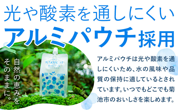 THE KIKUCHI WATER 500ml×30本 定期便 6回 水 飲料水 ミネラルウォーター シリカ 飲料《お申し込み月の翌月から出荷開始》天然水 飲料水 ミネラルウォーター シリカ含有 アル
