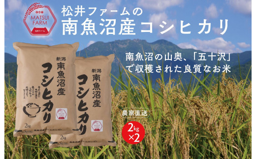 【令和7年産新米予約】【定期便（無洗米）】南魚沼産コシヒカリ（4kg×3回)