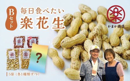 落花生 豆 毎日食べたい落花生セット（5袋）B  009-05-1