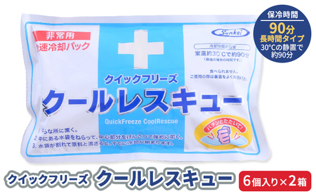冷却剤 6個入×2箱 クールレスキュー 冷却剤