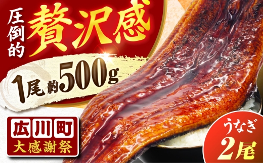 【1尾約500g】超特大うなぎ 蒲焼×2尾 冷凍 うな重 ひつまぶし 鰻 うなぎ蒲焼 ウナギ 蒲焼 蒲焼き 広川町 / 株式会社イールファクトリー [AFBS032]