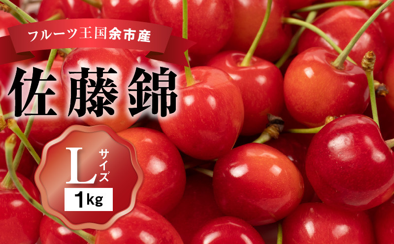 
                  2026年発送【先行予約】令和8年産 佐藤錦【Lサイズ】500g×2【ニトリ観光果樹園】さくらんぼの王様 余市 北海道 フルーツ王国 さくらんぼ サクランボ 桜桃 佐藤錦 余市産さくらんぼ 人気さくらんぼ ニトリ
                
