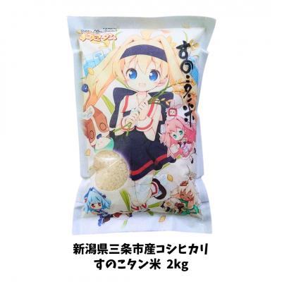 ふるさと納税 三条市 すのこタン。米 2kg 新潟県三条市産 コシヒカリ 非BLコシヒカリ 令和7年産 【010S423】
