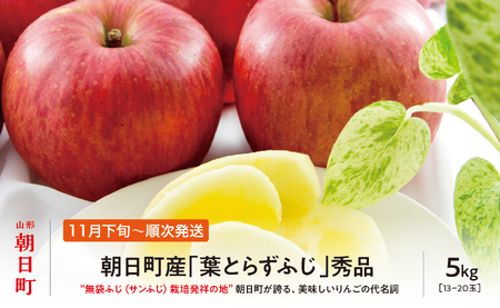 ＜ 先行予約 ＞ りんご 葉取らず ふじ 秀品 約 5kg 13～20玉 【2026年11月下旬から12月下旬発送】 山形県 朝日町産 山形県産 果物 フルーツ リンゴ 林檎 秋 冬