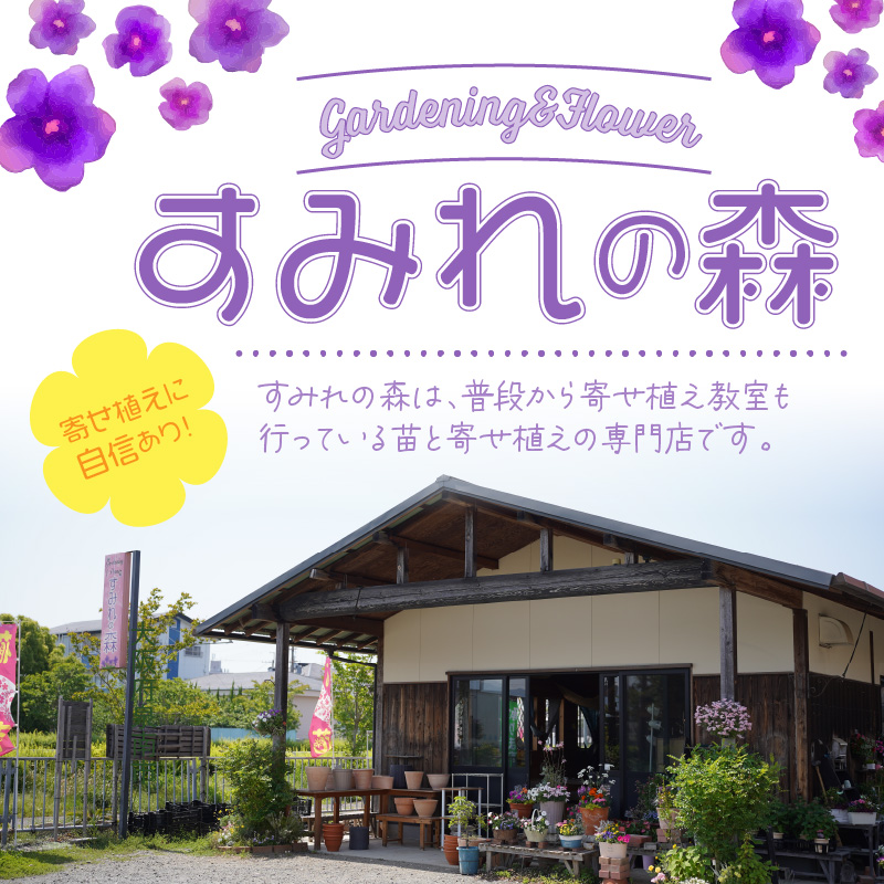 季節の花の寄せ植え 30cm鉢【005D-007】