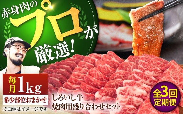 
                  【牧場直送】【3回定期便】佐賀県産しろいし牛 焼肉用 盛り合わせ セット（希少部位）各回1kg（5～6人前）【佐賀セントラル牧場】佐賀県産 肉 お肉 牛肉 焼き肉 BBQ バーベキュー モモ カタ 肩 バラ 九州 佐賀県 白石町  白石 [IAH047]
                