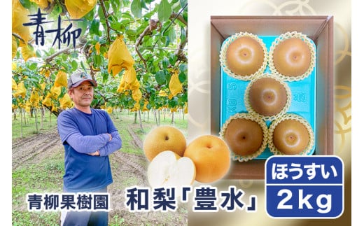 【2026年先行予約】青柳果樹園の和梨 豊水 2kg（3～5玉） 《9月上旬～順次出荷》 果物 ほうすい フルーツギフト 加茂市 青柳果樹園