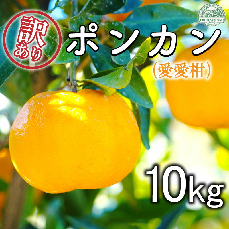 【ふるさと納税】 先行予約 訳あり ポンカン 約10kg 愛愛柑 15000円 わけあり ぽんかん みかん 蜜柑 果物 くだもの 果実 柑橘 ミカン mikan フルーツ ゼリー ジュース 甘い ジューシー デザート ブランド 特産品 国産 産直 産地直送 ビタミン 美容 健康 糖度 愛媛県 愛南町