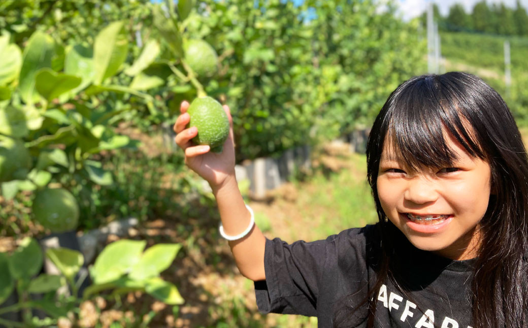 【訳あり】国産レモン 1.5kg (県認証特別栽培)