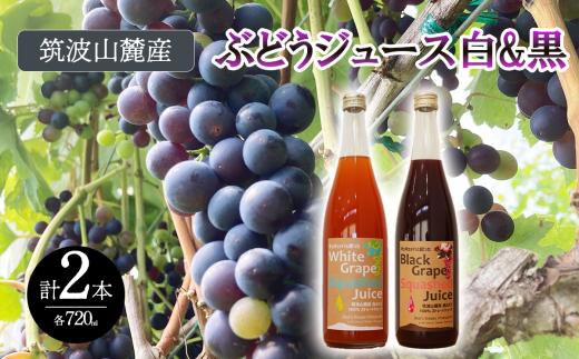 つくば市 筑波山麓産ぶどうジュース２本セット　ビーズニーズヴィンヤーズ／Bee's Knees Vineyards【 ジュース ストレート 100％ ぶどう ブドウ 白ぶどう 黒ぶどう ワイン専用ブドウ品種 果物 フルーツ 国産 つくば市産 茨城県産 飲み物 飲料 セット 子供 おやつ 人気 おすすめ 茨城県 つくば市 】