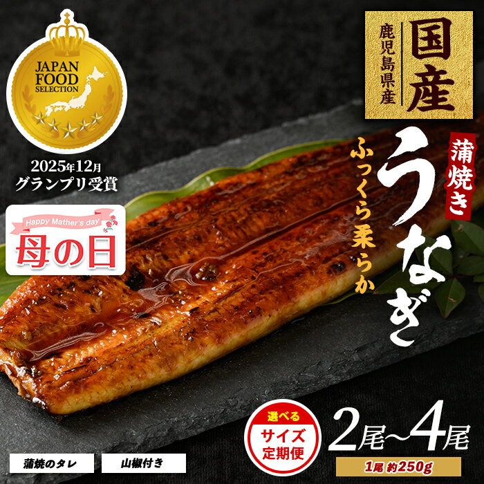 【ふるさと納税】＜母の日用も選べる！4/29までの決済完了で5/8〜5/10にお届け＞＜内容量が選べる＞鹿児島県産うなぎ蒲焼じっくり焼き(約250g×2尾〜約250g×4尾・木目化粧箱入り／定期便・約250g×2尾・木目化粧箱入り×3回) うなぎ ウナギ【大新】