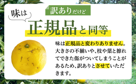 ≪先行予約≫都農町産「訳あり日向夏(約5kg)」 フルーツ 果物 柑橘 国産_T008-004