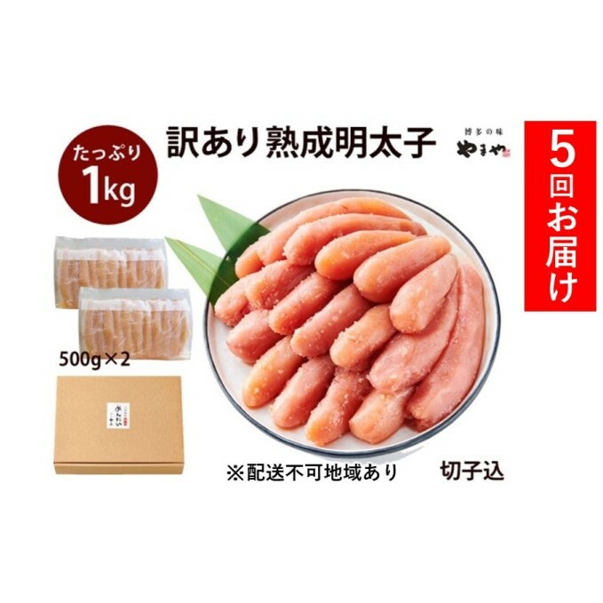 定期便 5回 訳あり 明太子 大容量 やまや切子 冷凍1kg（500g×2）配送不可 離島 魚貝類 