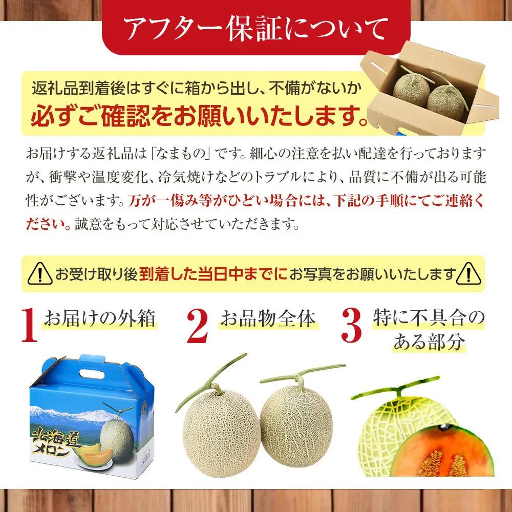 【26年発送先行予約】北海道 秀品 赤肉メロン L玉×2個 (2026年7月発送開始予定) _00112