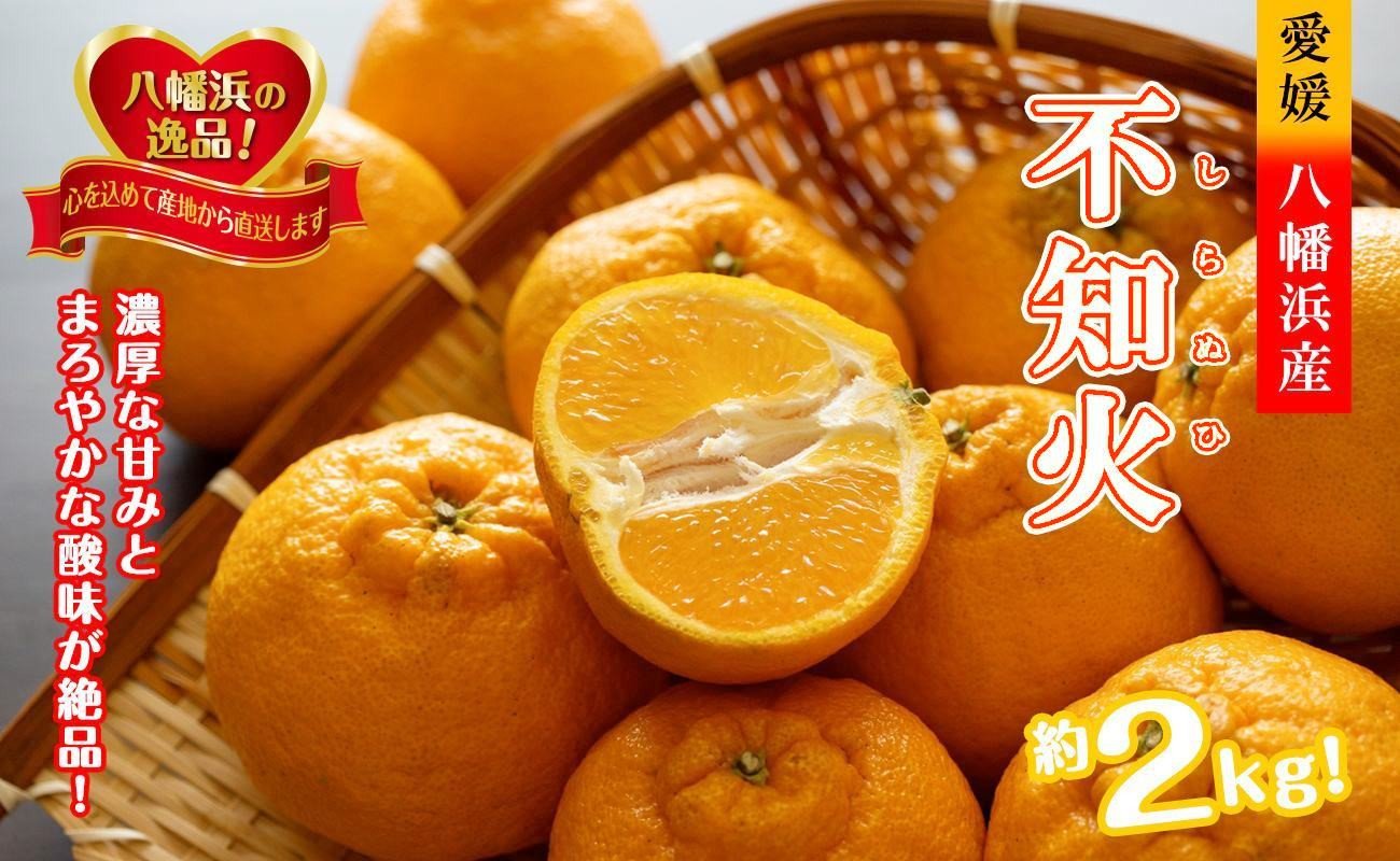 
            2026年2月～順次出荷　甘さと酸味の絶妙なバランス!はじける果肉「不知火」約2キロ＜B39-75＞【1620481】
          