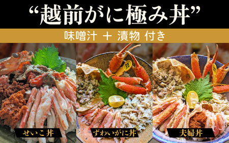 利用券 昼食事券 15,000円分 「日本海が目の前！絶景！お店で食べる 贅沢かに料理 福井県 越前町」【 2年間有効期限 越前かに 食事券 食事 チケット 券 海の幸 カニ料理 蟹 魚介 かに 蟹 