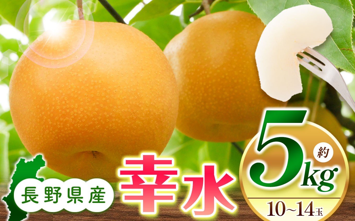 
            【先行受付：2026年発送】幸水5kg（10～14玉）｜ふるさと納税 松本市 なし 梨 幸水 果物 果汁 農家 自然 ビタミン 地元 新鮮 ジューシー
          