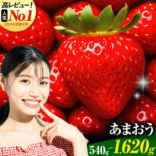 【ふるさと納税】高評価！いちご あまおう 540g 1080g 1620g フルーツ 苺 旬 数量限定 不揃い 2月 3月 4月 くだもの【着日指定不可】《2026年2月中旬-4月末頃出荷》定期便 果物 itigo amaou 福岡名産品
