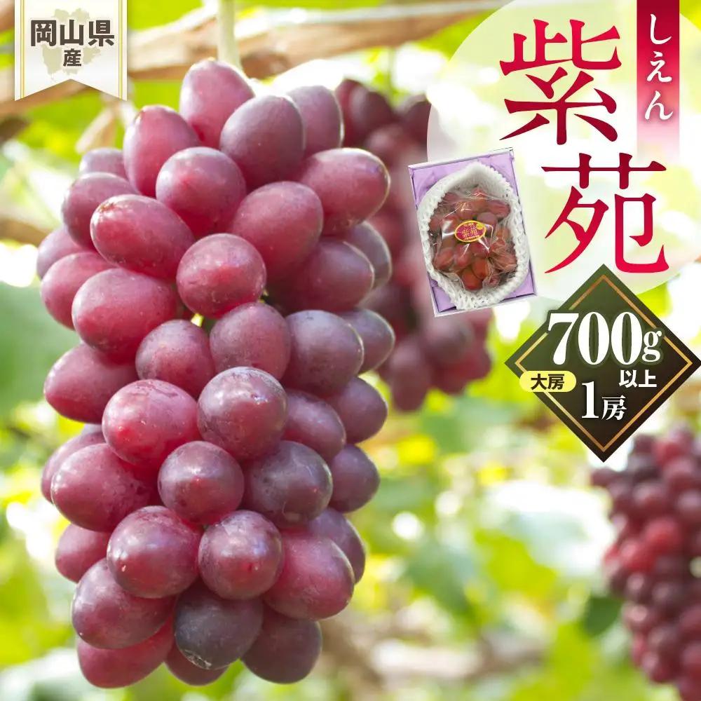 ぶどう 2026年 岡山県産 紫苑 1房 (700ｇ以上)  化粧箱 入り | 葡萄 ぶどう フルーツ 果物 くだもの フレッシュ 国産 岡山 食品 人気 おすすめ 送料無料 ギフト 贈り物 贈答品 